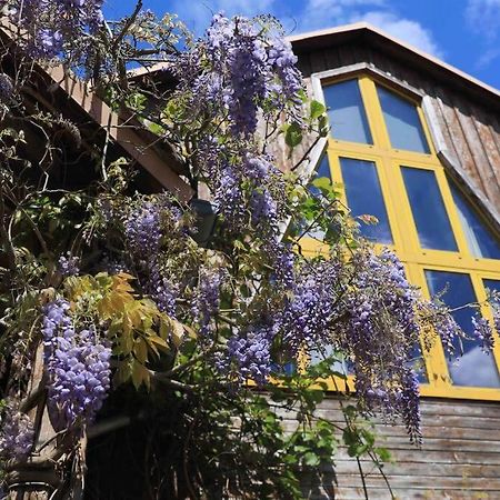 La Grange De Jeannette Apartment Burnhaupt-le-Haut ภายนอก รูปภาพ