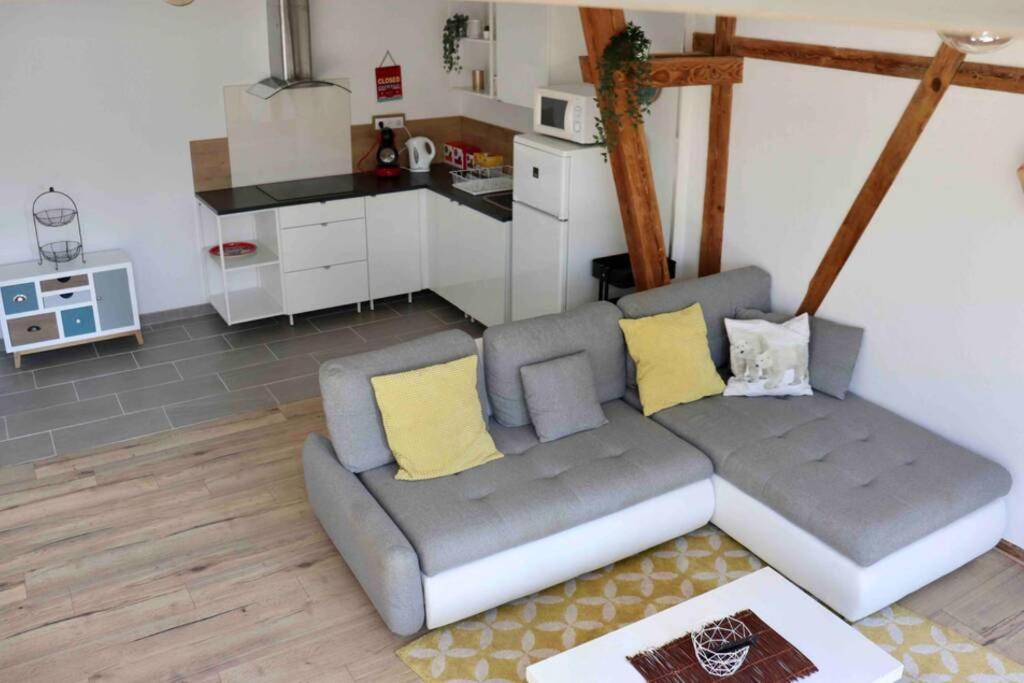 La Grange De Jeannette Apartment Burnhaupt-le-Haut ภายนอก รูปภาพ